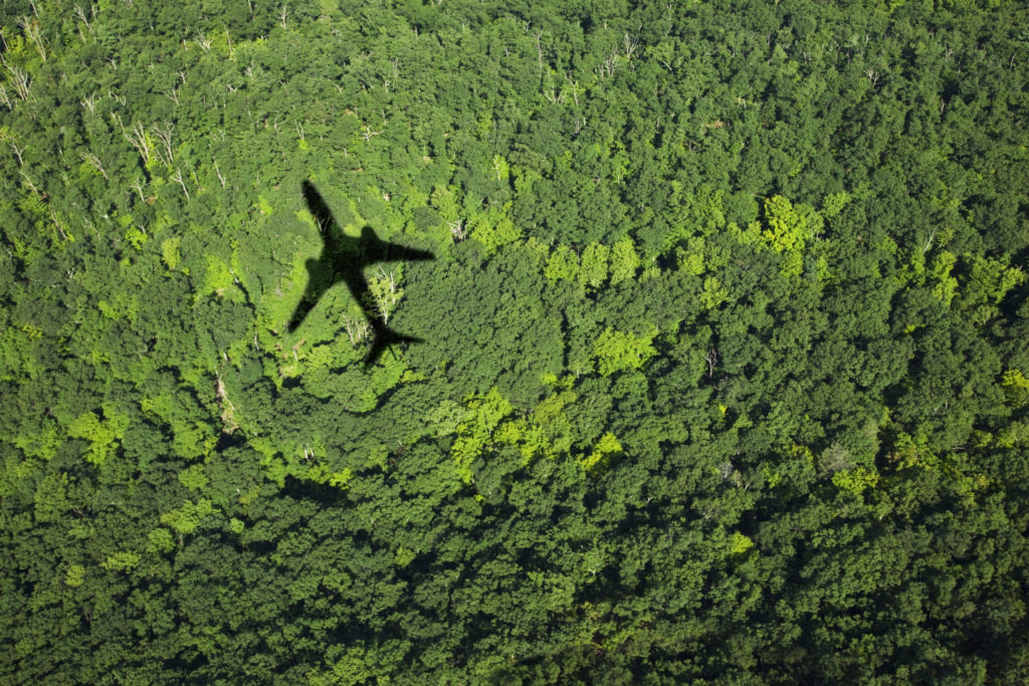 Aer-avion-neutro-silueta-bosque-LATAM
